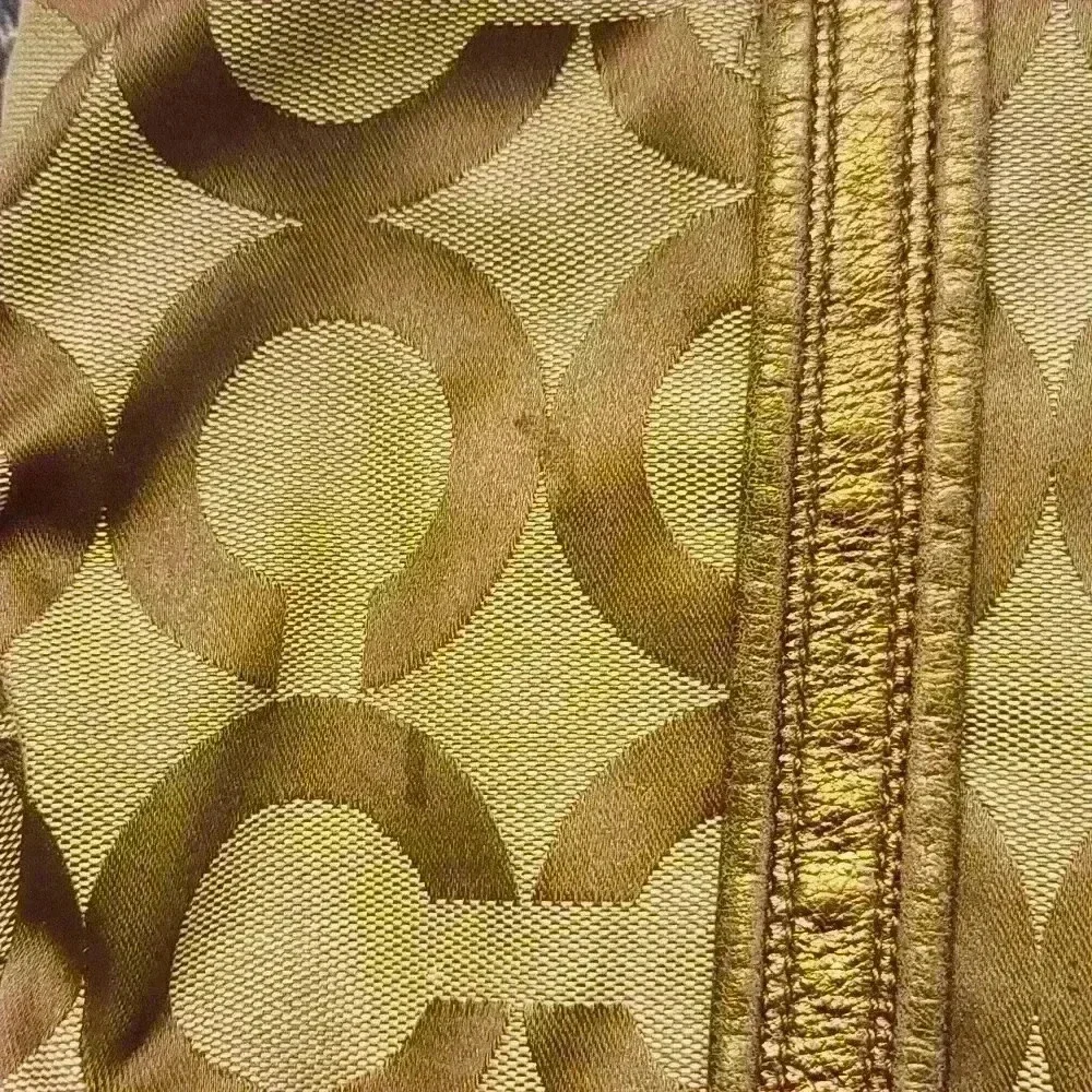 Poppy coach purse